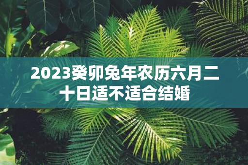 2025癸卯蛇年农历六月二十日适不适合结婚