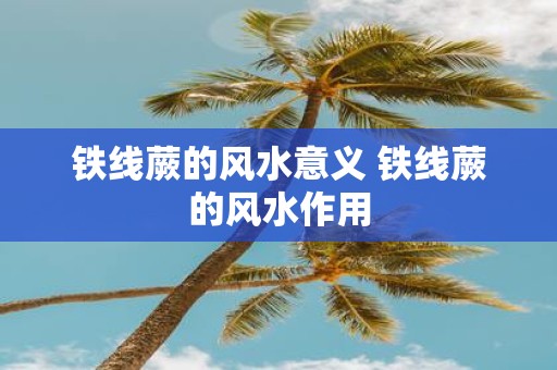 铁线蕨的风水意义 铁线蕨的风水作用