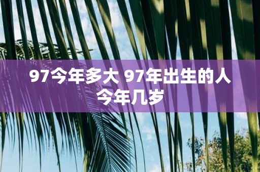 97今年多大 97年出生的人今年几岁