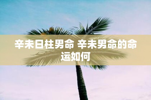 辛未日柱男命 辛未男命的命运如何