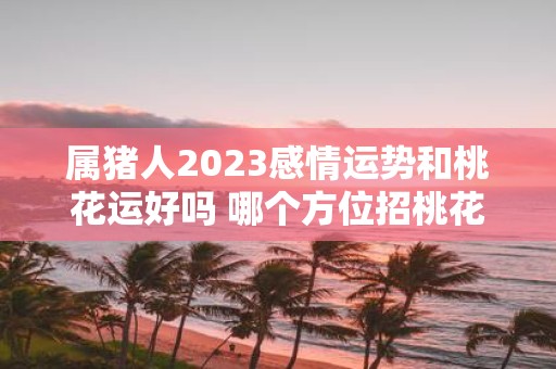 属猪人2025感情运势和桃花运好吗 哪个方位招桃花