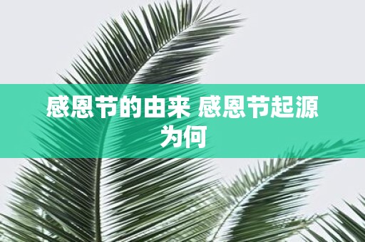 感恩节的由来 感恩节起源为何
