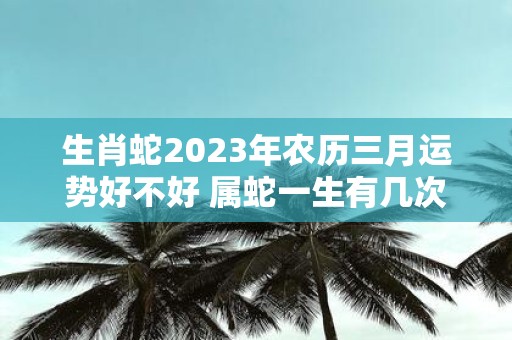 生肖蛇2025年农历三月运势好不好 属蛇一生有几次婚姻