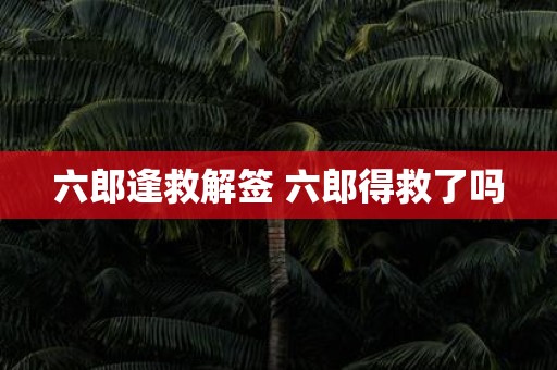 六郎逢救解签 六郎得救了吗