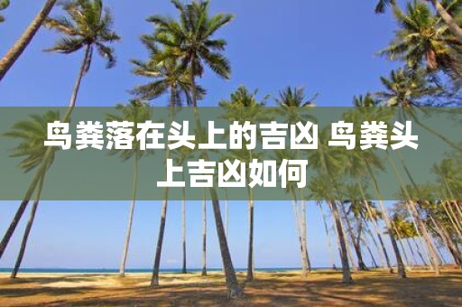 鸟粪落在头上的吉凶 鸟粪头上吉凶如何