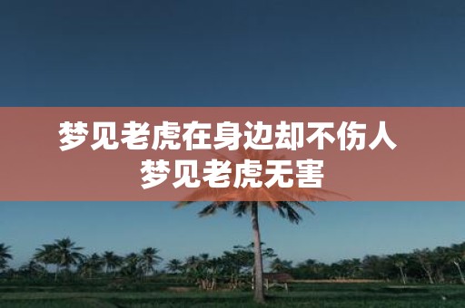 梦见老虎在身边却不伤人 梦见老虎无害