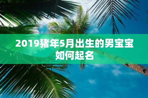 2019猪年5月出生的男宝宝如何起名