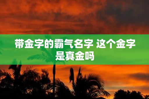 带金字的霸气名字 这个金字是真金吗