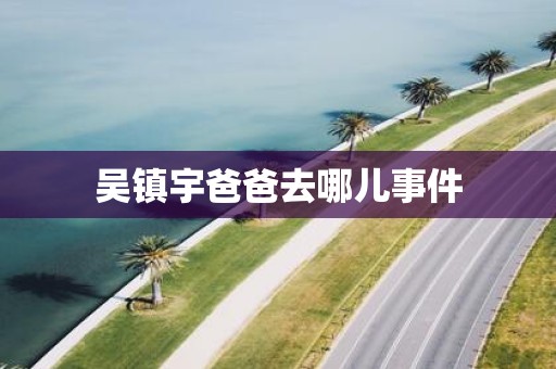 吴镇宇爸爸去哪儿事件