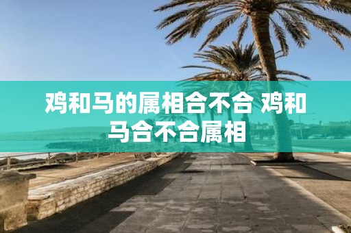 鸡和马的属相合不合 鸡和马合不合属相