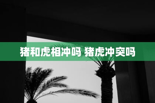 猪和虎相冲吗 猪虎冲突吗