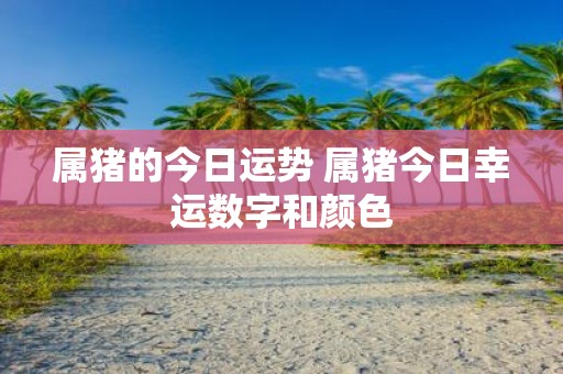 属猪的今日运势 属猪今日幸运数字和颜色