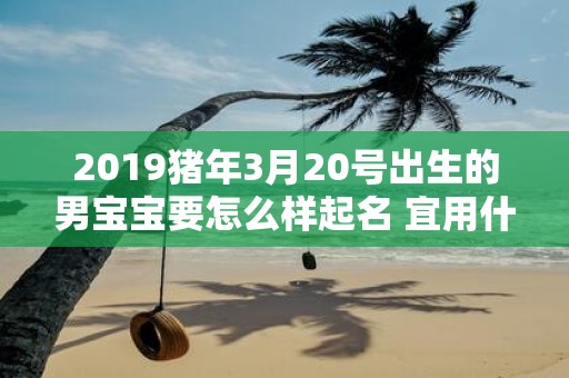 2019猪年3月20号出生的男宝宝要怎么样起名 宜用什么字呢