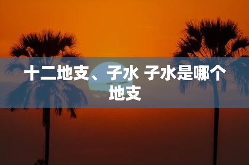 十二地支、子水 子水是哪个地支
