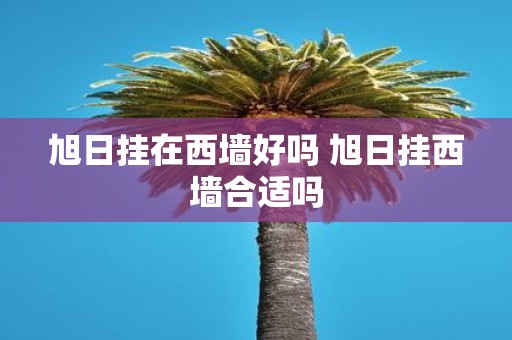 旭日挂在西墙好吗 旭日挂西墙合适吗