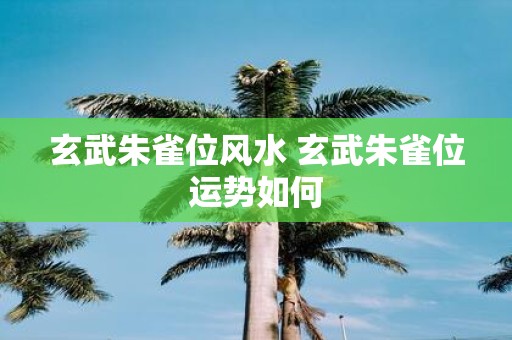 玄武朱雀位风水 玄武朱雀位运势如何