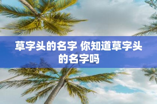 草字头的名字 你知道草字头的名字吗