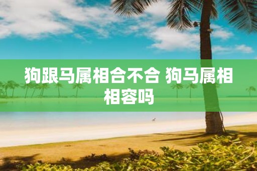 狗跟马属相合不合 狗马属相相容吗