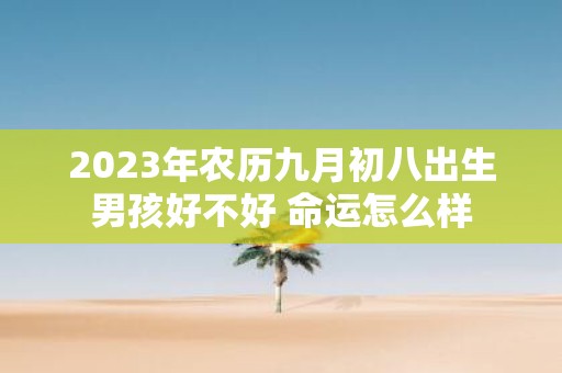2025年农历九月初八出生男孩好不好 命运怎么样