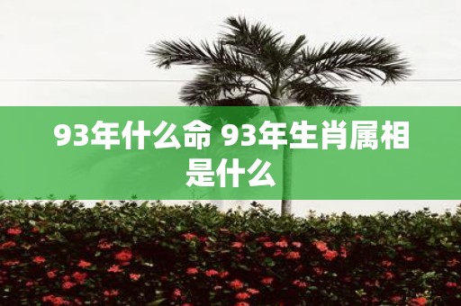 93年什么命 93年生肖属相是什么