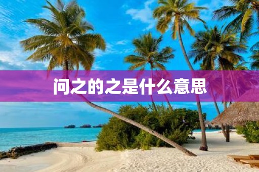 问之的之是什么意思