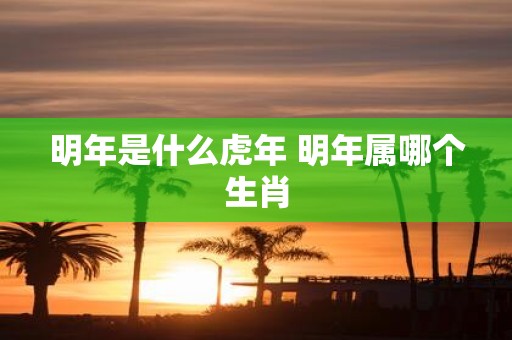 明年是什么虎年 明年属哪个生肖