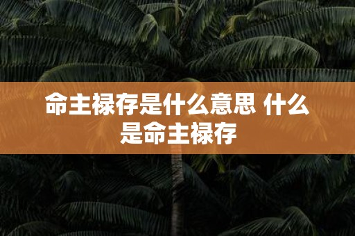 命主禄存是什么意思 什么是命主禄存