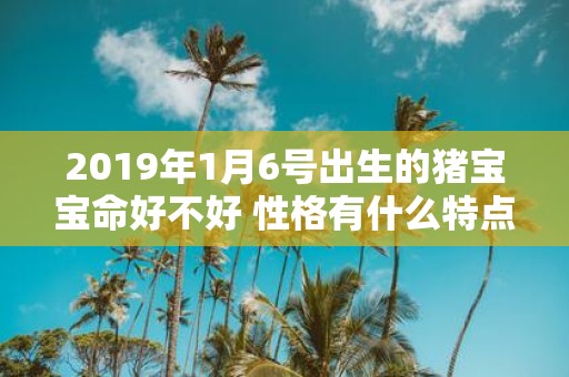 2019年1月6号出生的猪宝宝命好不好 性格有什么特点