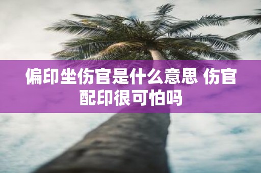 偏印坐伤官是什么意思 伤官配印很可怕吗