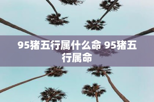 95猪五行属什么命 95猪五行属命