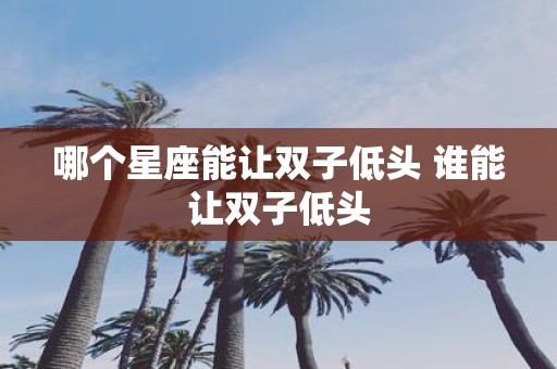 哪个星座能让双子低头 谁能让双子低头