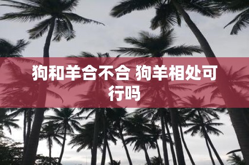 狗和羊合不合 狗羊相处可行吗