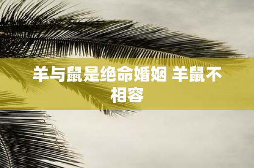羊与鼠是绝命婚姻 羊鼠不相容