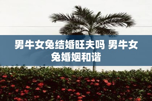 男牛女兔结婚旺夫吗 男牛女兔婚姻和谐