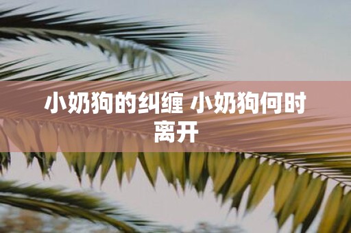小奶狗的纠缠 小奶狗何时离开