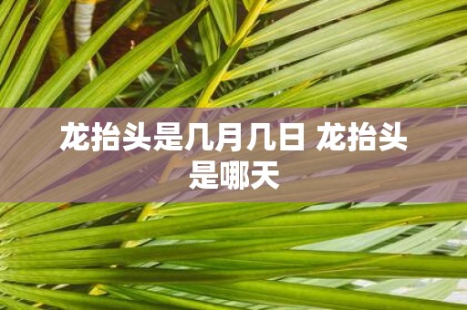 龙抬头是几月几日 龙抬头是哪天