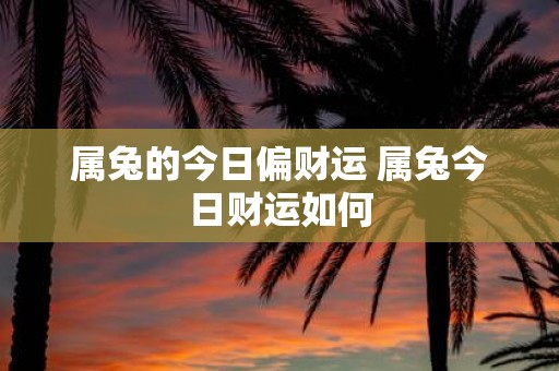 属兔的今日偏财运 属兔今日财运如何