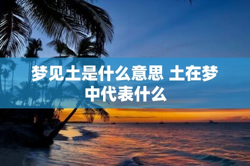 梦见土是什么意思 土在梦中代表什么