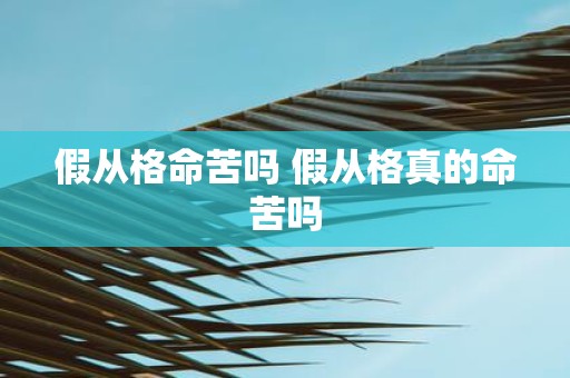 假从格命苦吗 假从格真的命苦吗