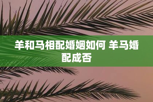 羊和马相配婚姻如何 羊马婚配成否
