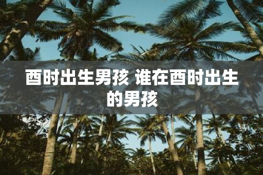 酉时出生男孩 谁在酉时出生的男孩