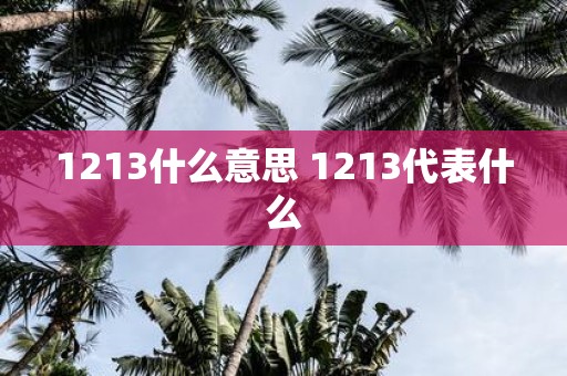 1213什么意思 1213代表什么