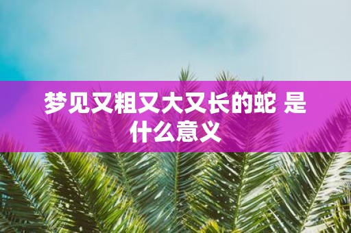 梦见又粗又大又长的蛇 是什么意义