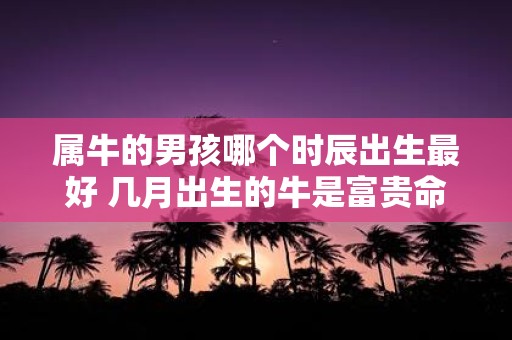 属牛的男孩哪个时辰出生最好 几月出生的牛是富贵命 属牛的男孩哪个时辰出生最好 几月出生的牛是富贵命