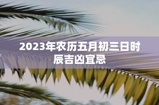 2025年农历五月初三日时辰吉凶宜忌