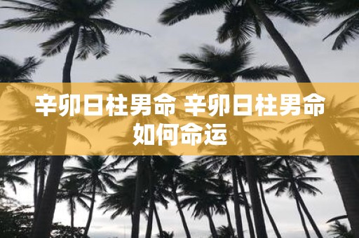 辛卯日柱男命 辛卯日柱男命如何命运