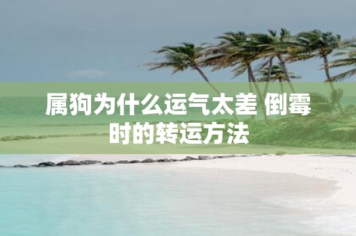属狗为什么运气太差 倒霉时的转运方法