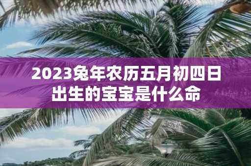 2025蛇年农历五月初四日出生的宝宝是什么命
