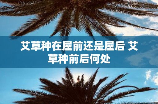 艾草种在屋前还是屋后 艾草种前后何处