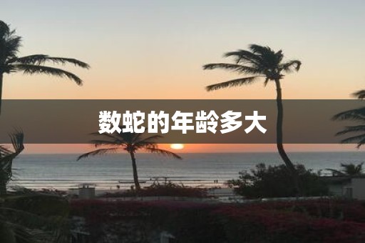 数蛇的年龄多大